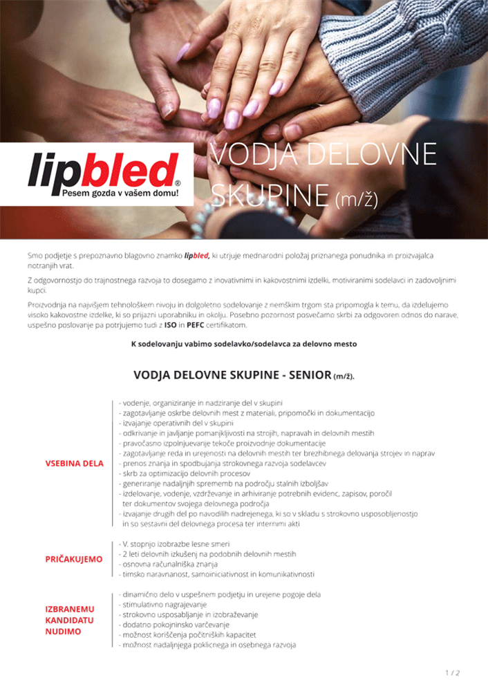 VODJA DELOVNE SKUPINE